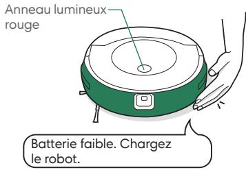 IROBOT J9+ - Informations relatives à la sécurité et l'expédition de batteries - 2