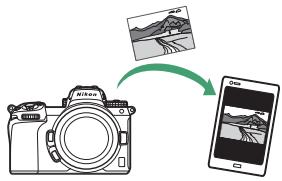 NIKON Z 61I - Schéma du système de l'appareil photo et du réseau - 2