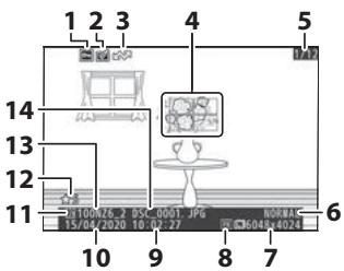 NIKON Z 61I - Informations sur le fichier - 1