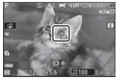 NIKON Z 61I - Mise au point sur les visages ou les yeux des animaux (AF détetection des animaux) - 2