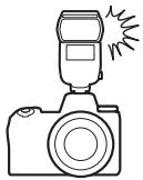NIKON Z 61I - Flashes installés sur le boîtier - 1