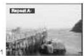 NEXT 9LITEDEL2 - Lecture en boucle A-B - 1