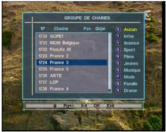 VISIOSAT TVS4300 2CI - Liste favorite, groupes de chaînes - 2