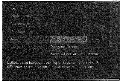 THOMSON DTH 220E ARGENT - Format d'image - 4