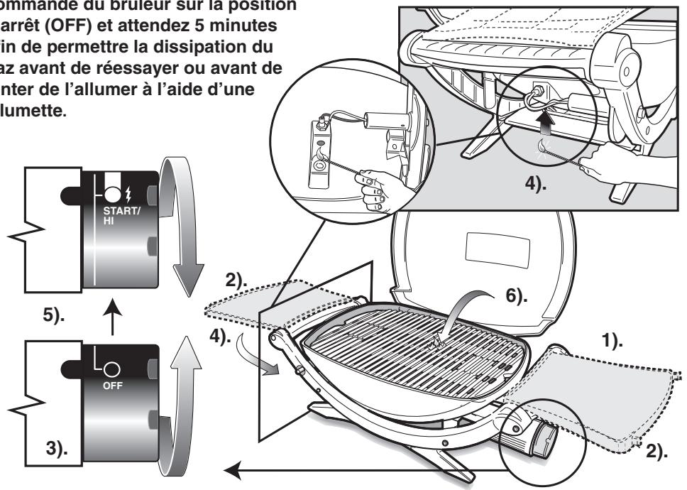 WEBER Q100 GAZ 386053 - Allumage MANUEL - 1