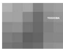 TOSHIBA STD-TW300 - Appuyez sur la touche ON/STANDBY. - 3