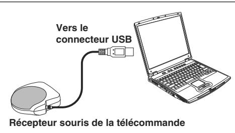 TOSHIBA STD-TW300 - Connexion d'un ordinateur - 1