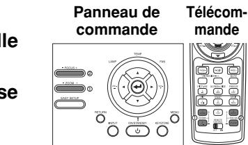 TOSHIBA STD-TW300 - Reglez la taille de l'image et la mise au point. - 1