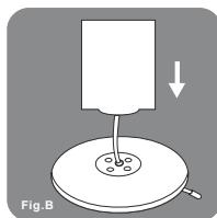 PUR LINE TITANO - Montage - 2