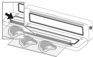 PROLINE SV28SET - Scellement sous VIDE - 2