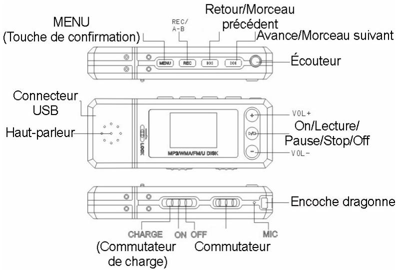 STOREX NC - Utilisation - 1