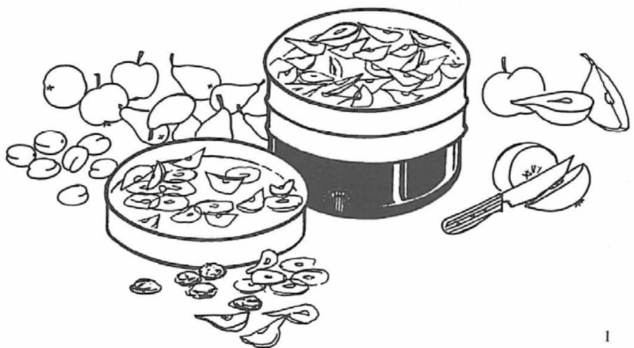RIVIERA ET BAR QD 100A - Fruits et légumes séchés, la ligne de santé - 1