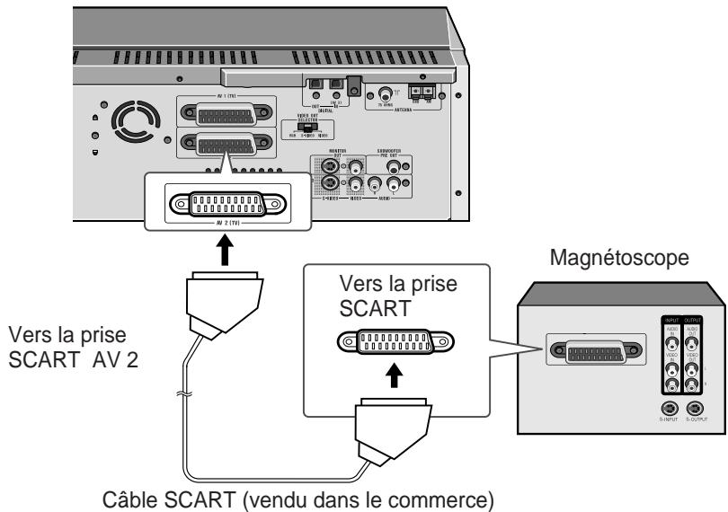 SHARP SDAT100H - Raccordement d'un magnétoscope - 1