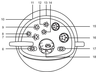 HELLO KITTY 12055 - REMARQUE IMPORTANTE : - 2