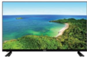 ROYEYAL WTTV - C ELIMINAÇÃO - 2