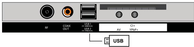 ROYEYAL WTTV - USB connection - 1