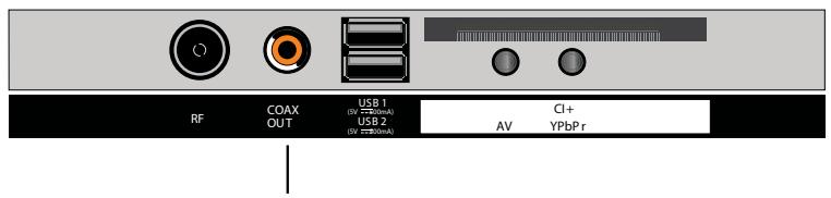 ROYEYAL WTTV - Ligação COAXIAL - 1