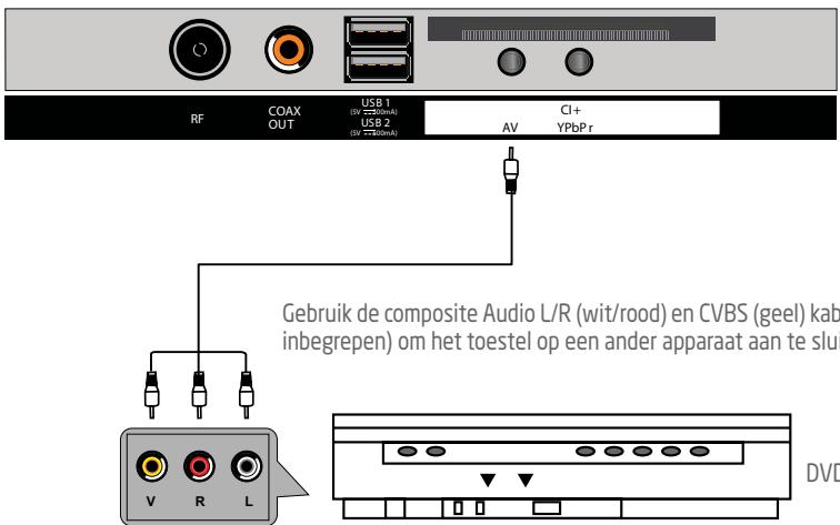 ROYEYAL WTTV - AV (Composite video)-aansluiting - 1
