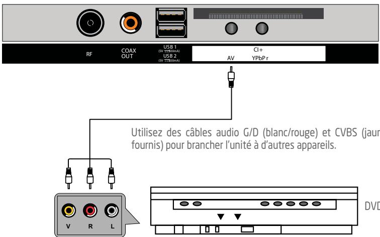 ROYEYAL WTTV - Branchement AV (video composite) - 1