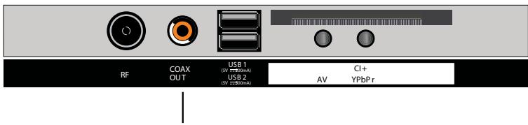 ROYEYAL WTTV - Branchement COAXIAL - 1