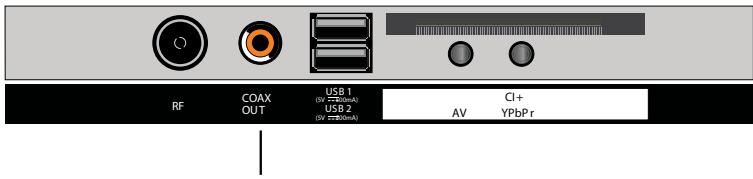 ROYEYAL WTTV - COAXIAL connection - 1