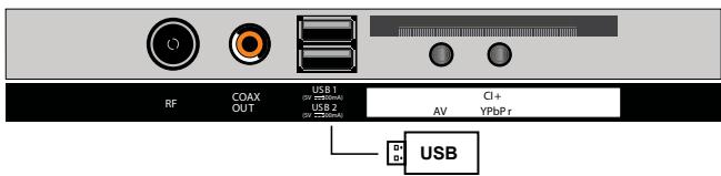ROYEYAL WTTV - USB-aansluiting - 1