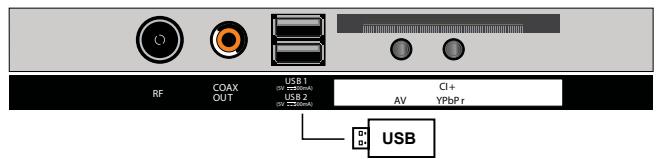 ROYEYAL WTTV - Conexión USB - 1