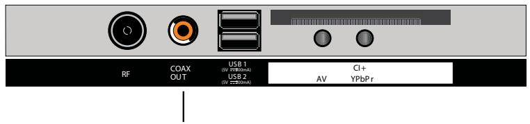 ROYEYAL WTTV - COAXIAL-aansluiting - 1