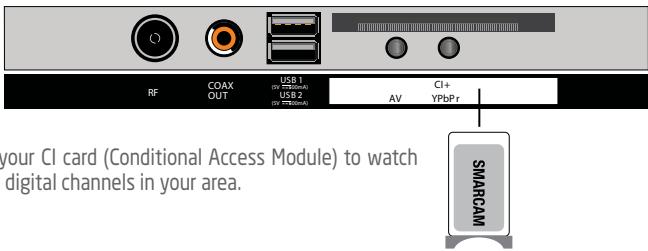 ROYEYAL WTTV - Insert a CI card - 1