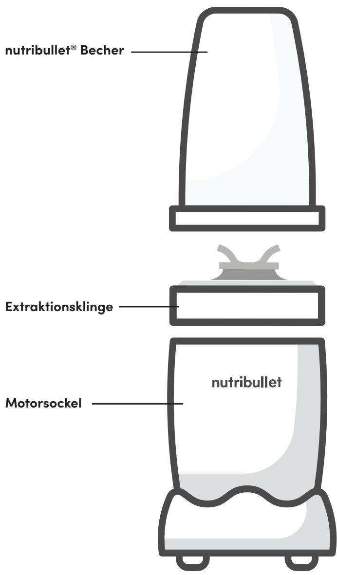 NUTRIBULLET NB907MACL - Montageanleitung - 1