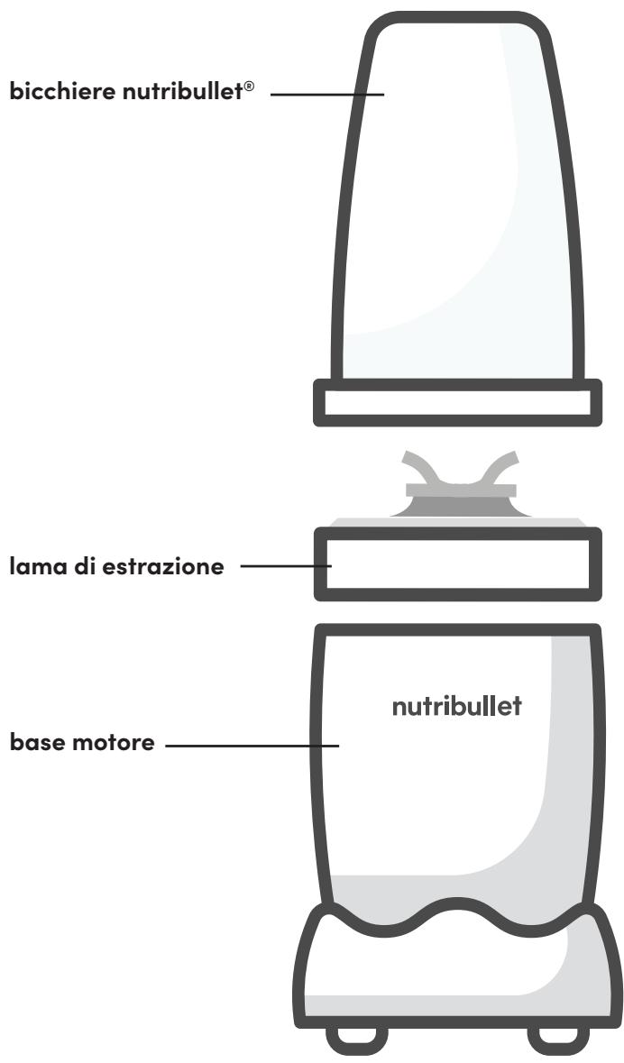 NUTRIBULLET NB907MACL - Guida al montaggio - 1
