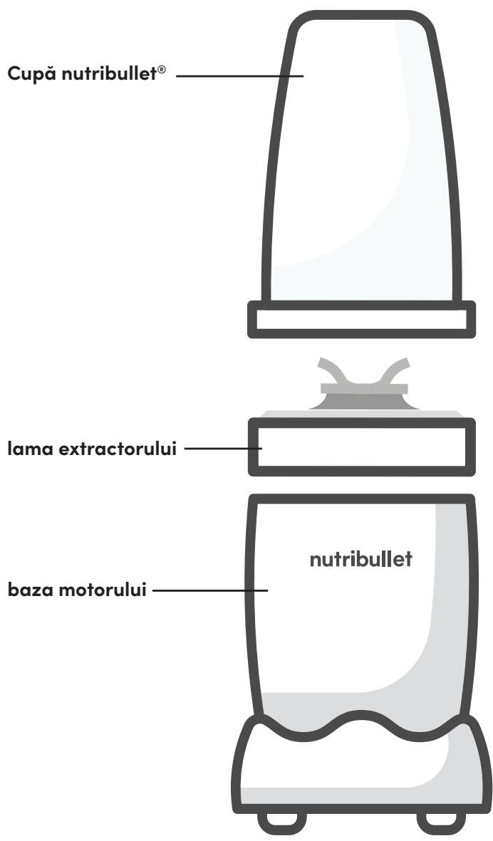 NUTRIBULLET NB907MACL - Ghid de asamblare - 1