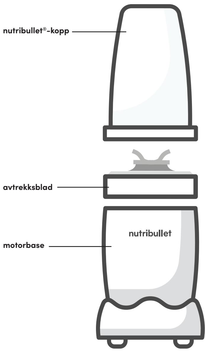 NUTRIBULLET NB907MACL - Monteringsveiledning - 1