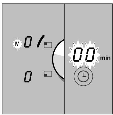 GAGGENAU CI491110 - Fin de Memory: - 1