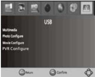 BRANDT BTR1201HD - Lecture USB - 1