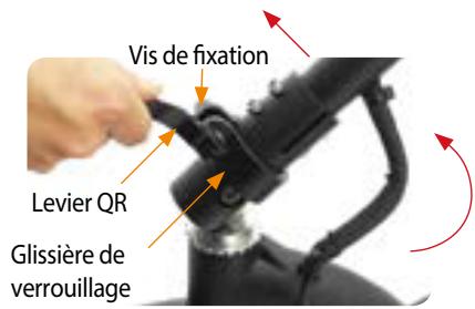 DUALTRON NC - Dualtron III - 1