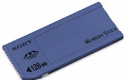 SONY CLIEPEG-N770C/EC - Memory stick™ générique - 1