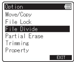 OLYMPUS LS-12 - Division d'un fichier [file divide] - 3