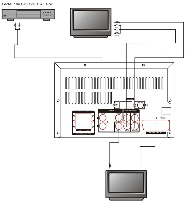 PROLINE MDVD60 - Branchements - 1