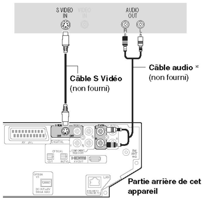 PANASONIC SC-PTX7EGC - Autres raccordements video - 2