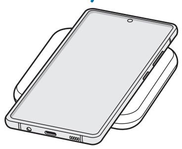 SAMSUNG EP-P1300BBE - Charging the device - 5
