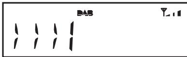 ROBERTS ORTUS2 - Options d'affichage - DAB - 4