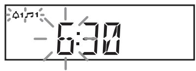 ROBERTS ORTUS2 - Réglage des heures d'alarme - 4