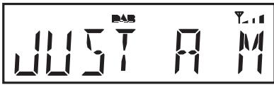 ROBERTS ORTUS2 - Options d'affichage - DAB - 2