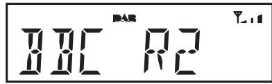 ROBERTS ORTUS2 - Options d'affichage - DAB - 1