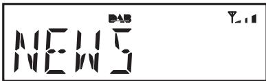 ROBERTS ORTUS2 - Options d'affichage - DAB - 3