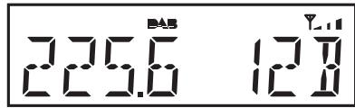 ROBERTS ORTUS2 - Réglage manuel - DAB - 5