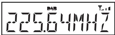 ROBERTS ORTUS2 - Options d'affichage - DAB cont. - 1