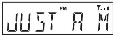 ROBERTS ORTUS2 - Options d'affichage - FM - 2