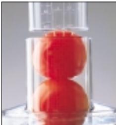 MAGIMIX COMPACT 3100 / 12435 - Pommes de terre - 1